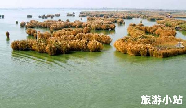 吴忠沙湖（美食之旅）