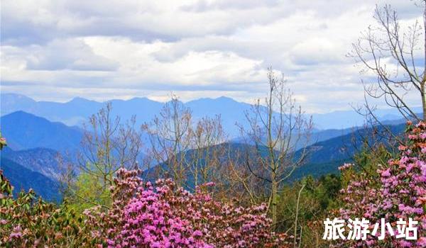 暮春时节花海路线