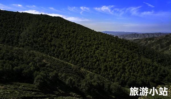 呼和浩特大青山