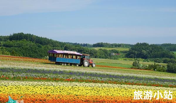  北海道富良野旅游景区