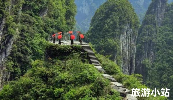 参与文化节庆，感受异域风情