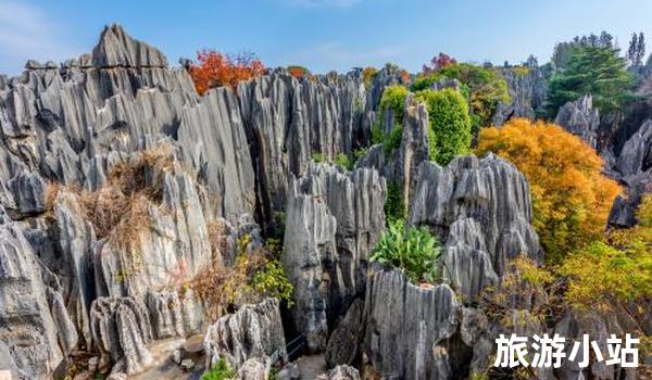 7月旅游景点排行国内（其中赏花景点）