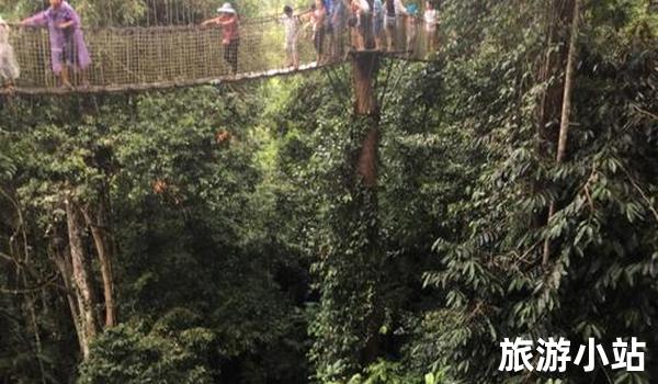 西双版纳热带雨林之旅