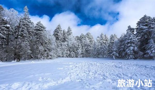 开车穿越黑龙江美景