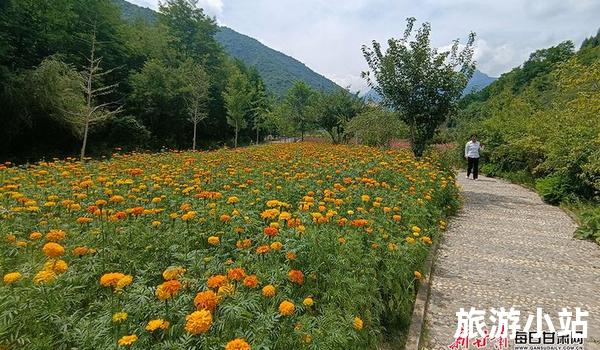 官鹅沟赏花