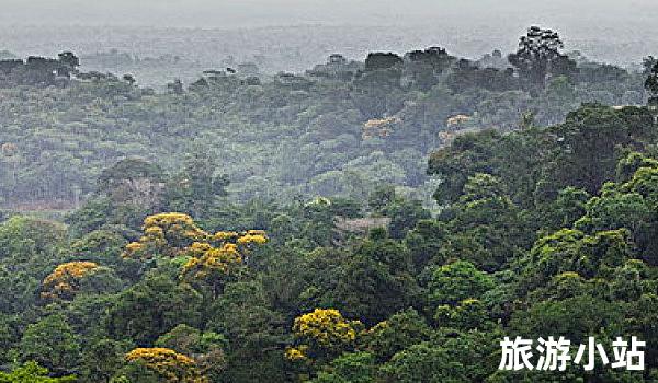 亚马逊热带雨林（巴西，秘鲁，哥伦比亚）