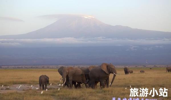 乞力马扎罗山（坦桑尼亚）