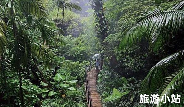 南美热带雨林之旅