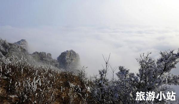 林海雾凇，幻化奇妙