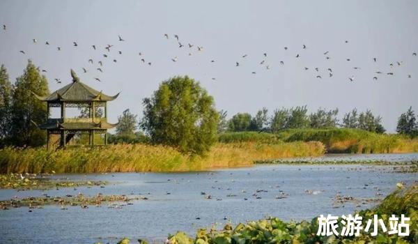 宿迁市洪泽湖湿地景区（探寻湿地之美）