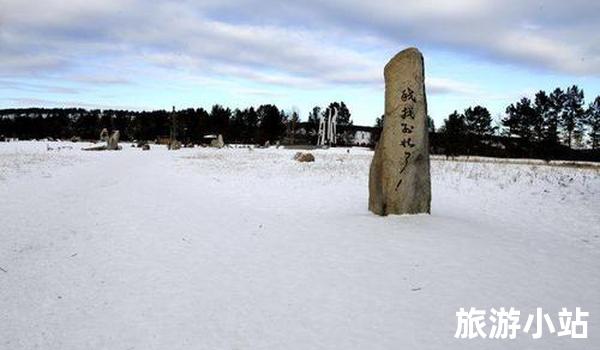 北极光之旅和漠河震旦国家冰川公园