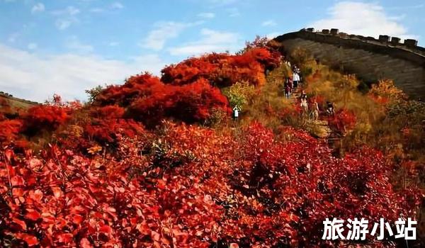 11月国内旅游的最佳地方（秋色烂漫探秘之旅）