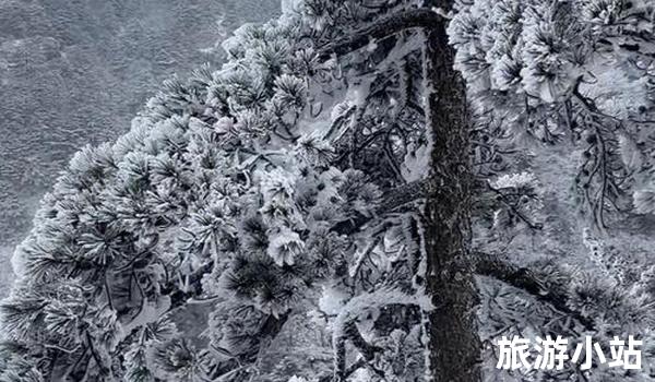 冰天雪地游——黄山风景区