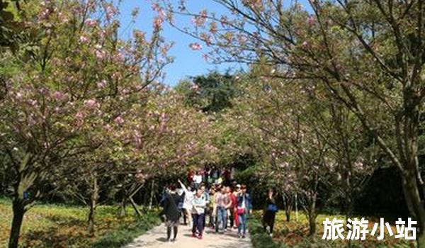 冬季·假日闲逛重庆南山植物园