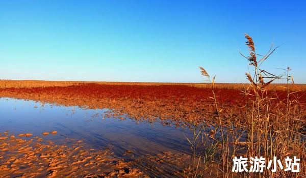 绿色环保旅游