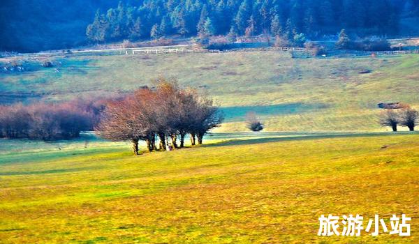 仙女山风景区