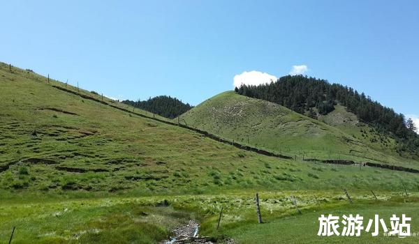 拉沟沿村草原