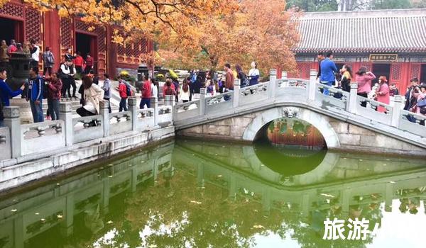 海淀区旅游必去景点推荐（赏花胜地）