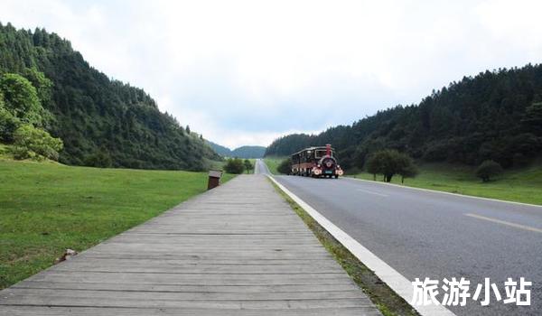 仙女山国家森林公园