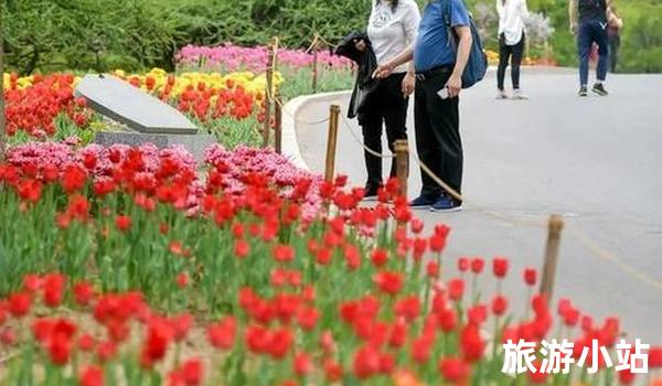 赏花胜地——逸致花园