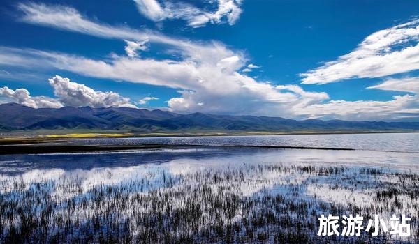 青海省青海湖景区介绍（纯净的湖光）