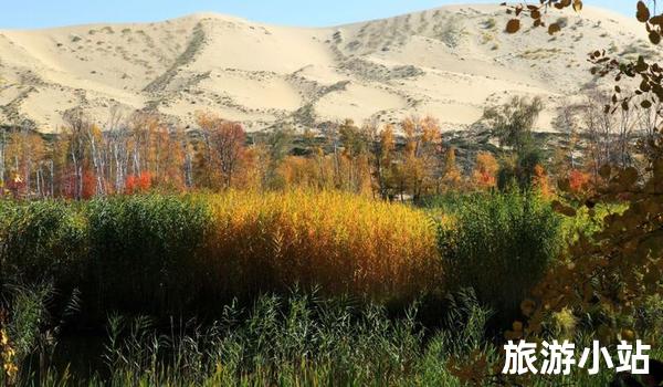 新疆生产建设兵团第十师白沙湖景区介绍（体验大草原）