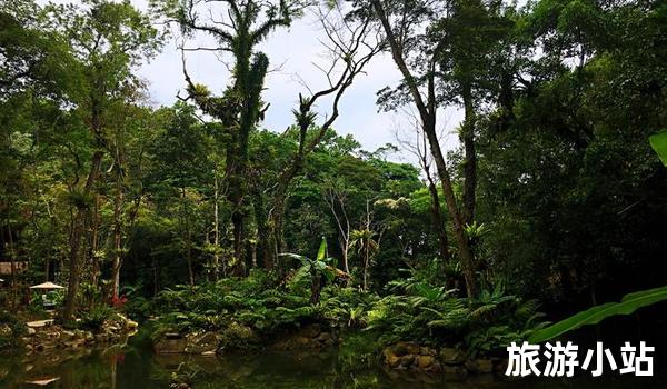 世界热带雨林博览园