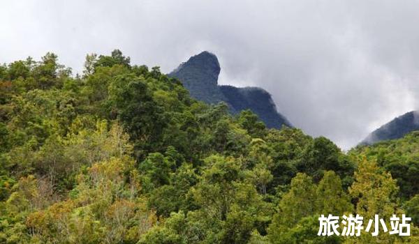 楼梯山