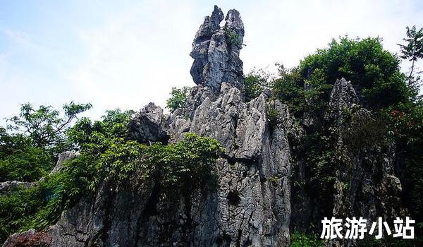 城口县旅游必去景点推荐（探访自然美景）