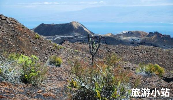 世界各国的旅游胜地有哪些（探索世界的美景）