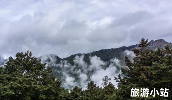 神奇的阿里山