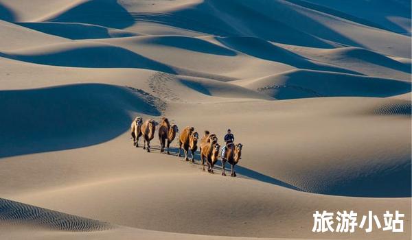 离奇神秘，探寻亚准沙漠