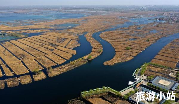 湖水草浮生态展示区