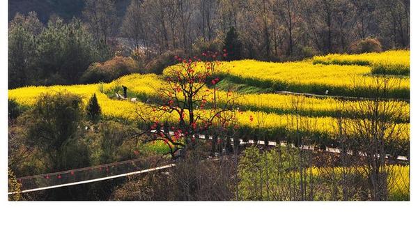 桃花山街