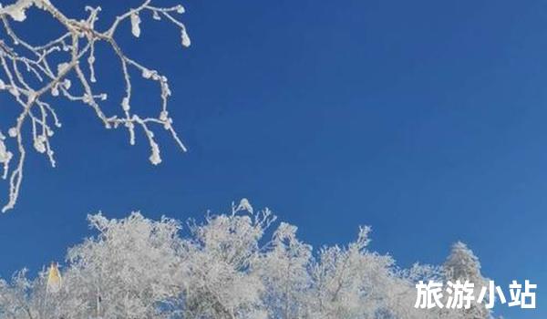 张北草原——驯鹿和冰雪之旅