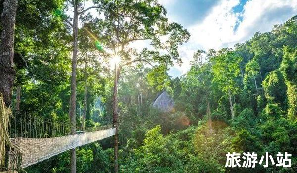 西双版纳热带雨林（西双版纳景区）