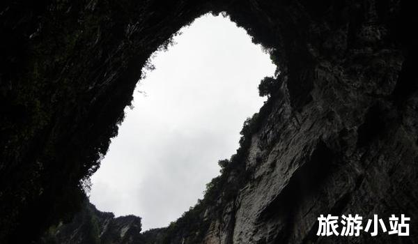 文化背景介绍