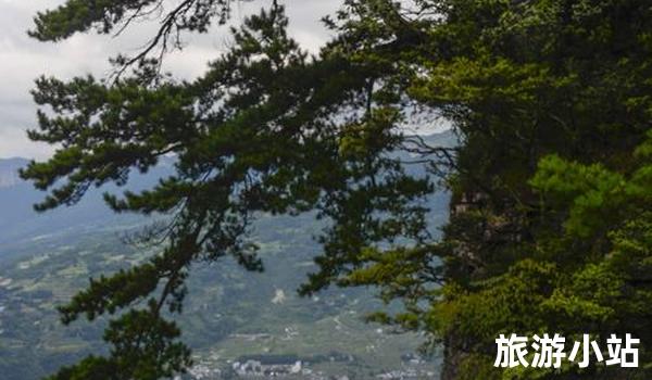 悬崖松风景区