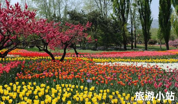 沈阳市植物园（清新空气的花园）