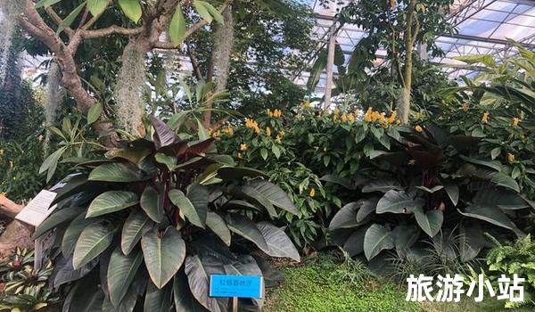 沈阳市植物园介绍（探索自然之美）