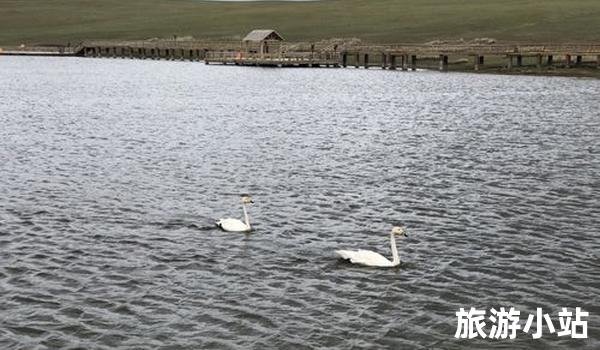 天鹅湖风景区