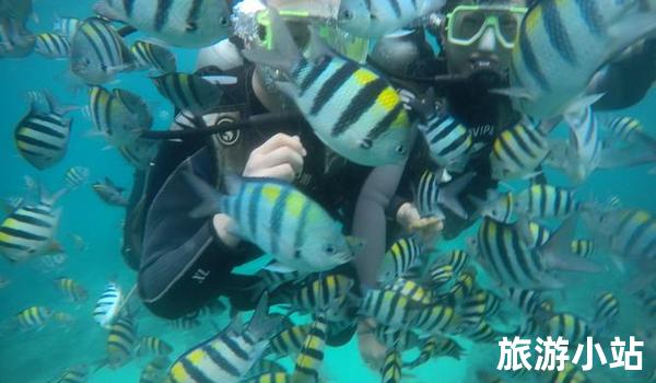 三亚市蜈支洲岛旅游区（海上世界）