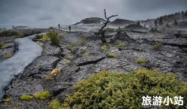 不思议的岩石森林-美国