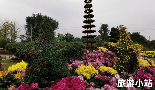 上海观赏菊花园