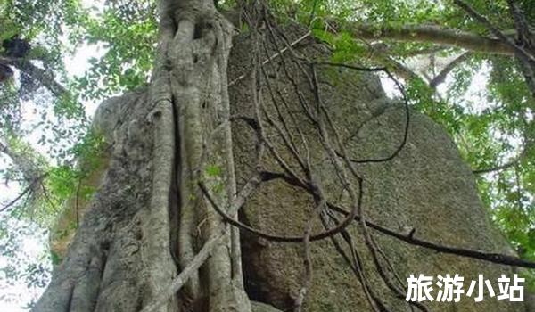 河通山石林景区