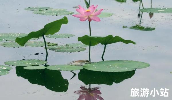 锦州荷花山风景区