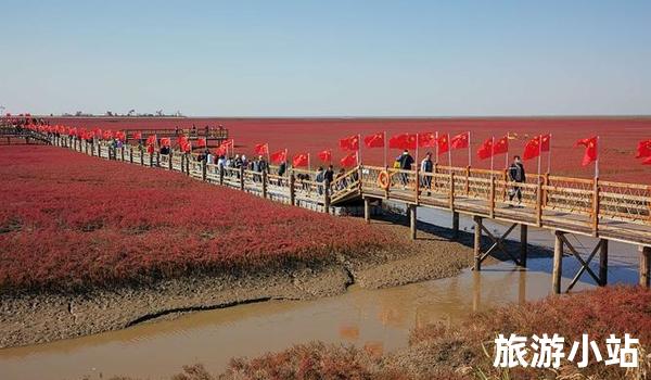 盘锦市红海滩风景廊道景区（一片幽静海岸线）