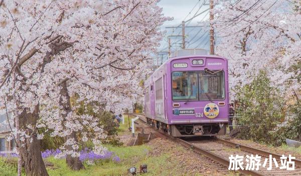 日本京都（樱花隧道）