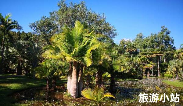 西双版纳-景洪热带植物园