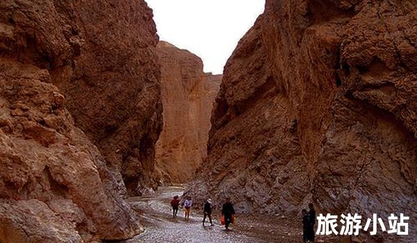 恰合乡哲合逊草原景区